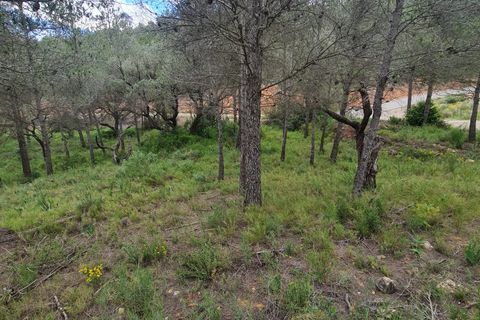 Landejendom i Asco, Tarragona, Asco - € 12.500 | Ref: 959 Lasco - foto 2